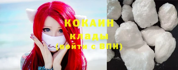 сатива Строитель