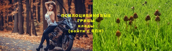 бутират Верхний Тагил