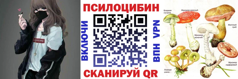 Псилоцибиновые грибы Cubensis  Мончегорск 