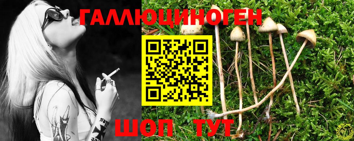 Псилоцибиновые грибы мицелий Мончегорск